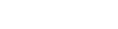 windsor advantage logo